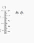 Measurement chart illustrating the dimensions (0.75 cm) of the 1ct Moissanite Round-Cut Stud Earrings.